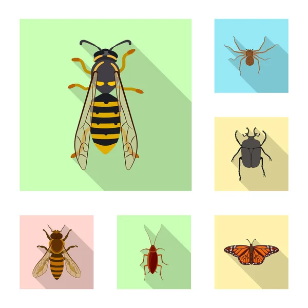 Vector ontwerp van insecten en vliegen symbool. Collectie van insect en element voorraad vectorillustratie. — Stockvector