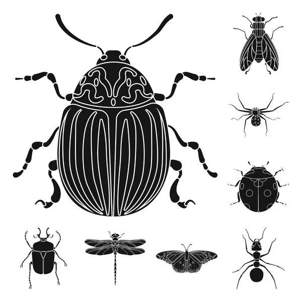 Elkülönített objektum rovar és légy jel. Készlet-ból rovar és elem vektor ikon készlet. — Stock Vector