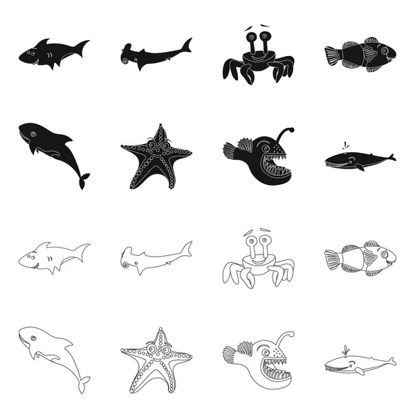 Diseño vectorial de mar y signo animal. Colección de ilustración de vectores marinos y marinos . — Archivo Imágenes Vectoriales