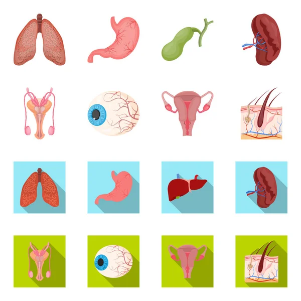 Illustrazione vettoriale del corpo e dell'icona umana. Raccolta di corpo e stock simbolo medico per il web . — Vettoriale Stock