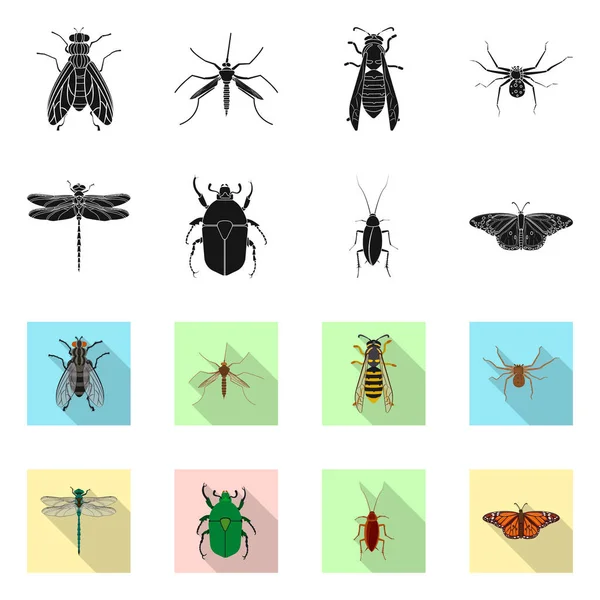 Objeto aislado de insecto y mosca símbolo. Conjunto de insecto y elemento stock vector ilustración . — Vector de stock