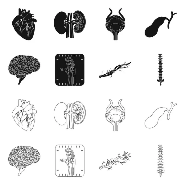 人体和人体图标的矢量图示。收集身体和医学矢量图标的股票. — 图库矢量图片