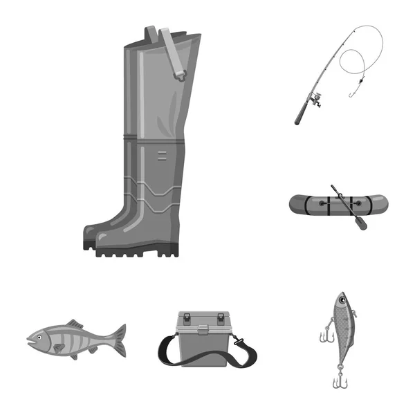 Projeto vetorial de peixe e ícone de pesca. Conjunto de peixes e equipamentos vetor ícone para estoque . — Vetor de Stock