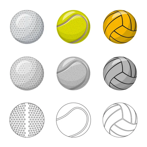 Objeto aislado de deporte y signo de pelota. Conjunto de deporte y el icono del vector deportivo para la acción . — Vector de stock