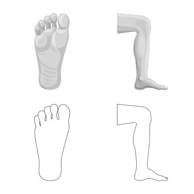 İnsan ve yarım işareti yalıtılmış nesne. İnsan kümesi ve hisse senedi için kadın vektör simgesi.