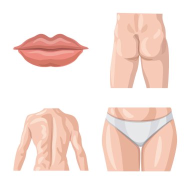 İnsan ve yarım simge vektör Illustration. İnsan topluluğu ve hisse senedi için kadın vektör simgesi.
