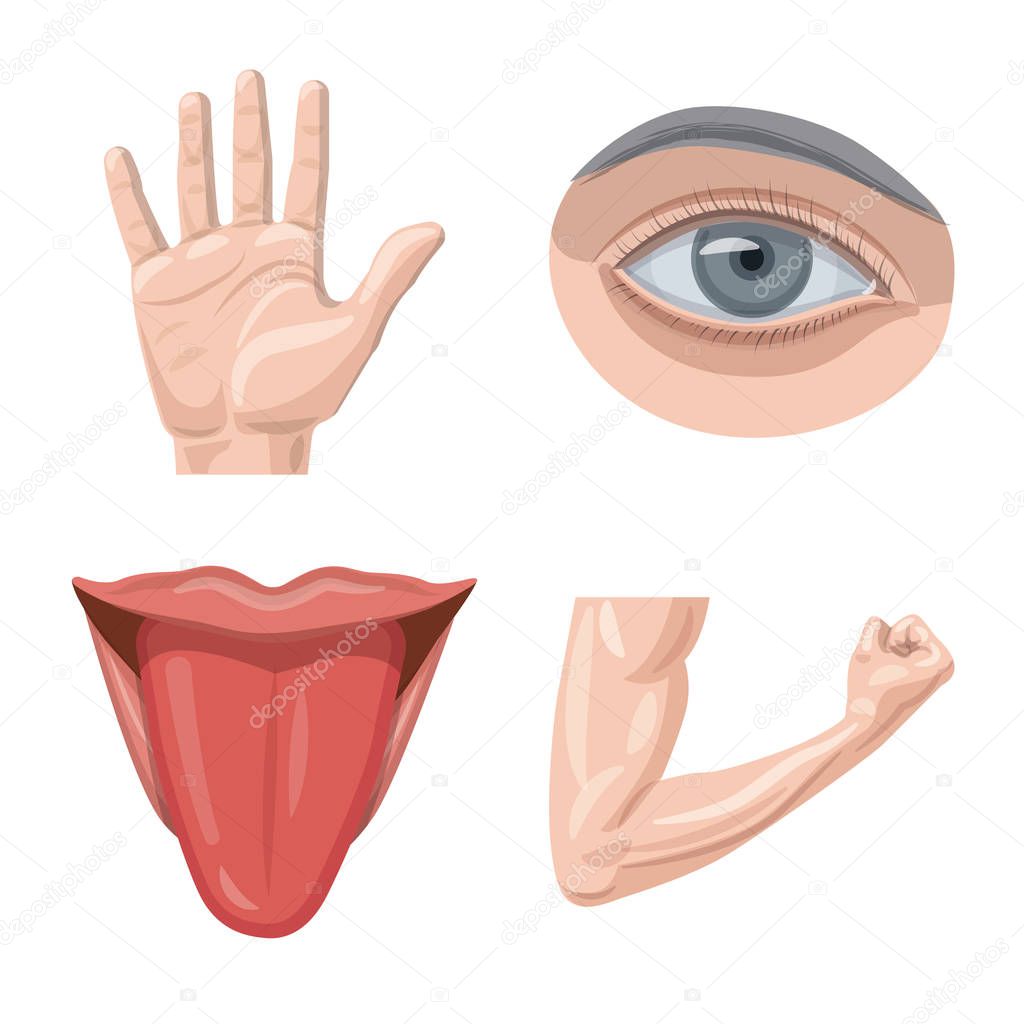 Isolated object of human and part symbol. Set of human and woman vector icon for stock.