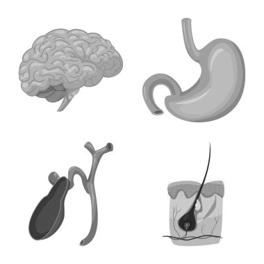 Vücut ve insan işareti vektör çizimi. Vücut ve web için tıbbi hisse senedi simgesi.