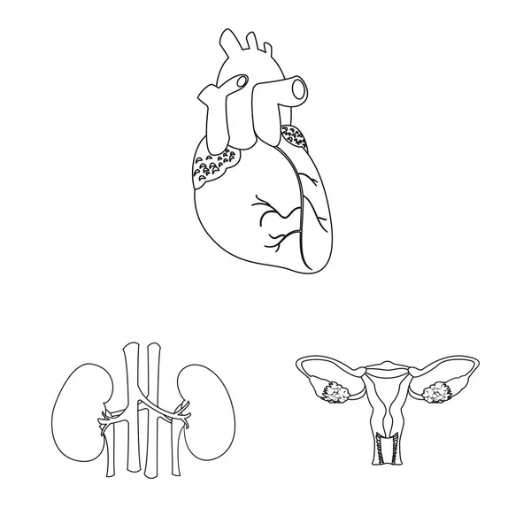 Progettazione vettoriale del corpo e del segno umano. Raccolta dell'icona del corpo e del vettore medico per lo stock . — Vettoriale Stock