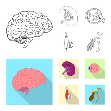 Vücut ve insan simge vektör Illustration. Vücut ve web için tıbbi hisse senedi simgesi toplama.