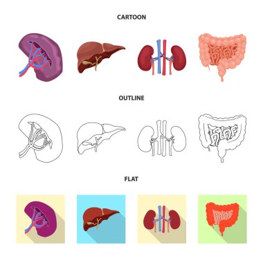 Vücut ve insan simge vektör tasarımı. Vücut ve tıbbi hisse senedi vektör çizim koleksiyonu.