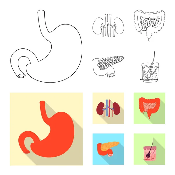 Conception vectorielle du corps et du symbole humain. Collecte de corps et icône vectorielle médicale pour stock . — Image vectorielle