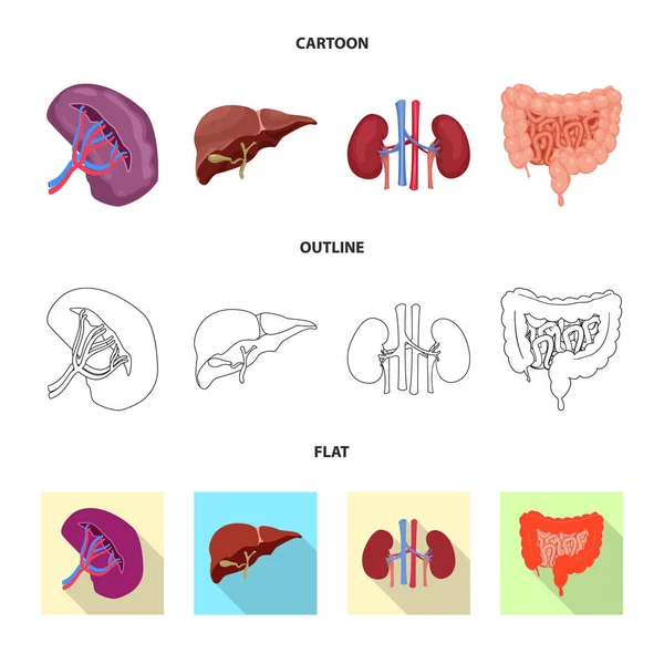 Векторный дизайн кузова и человеческой иконы. Коллекция векторной иллюстрации тела и медицинского фонда . — стоковый вектор