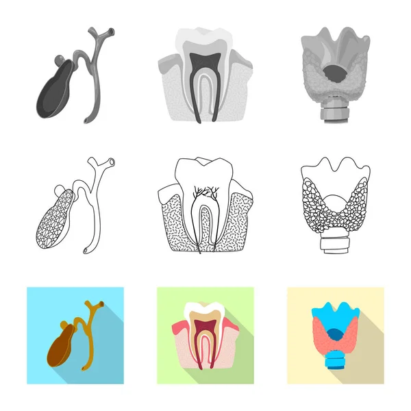 Illustration vectorielle du corps et du symbole humain. Ensemble d'icône de corps et de vecteur médical pour stock . — Image vectorielle