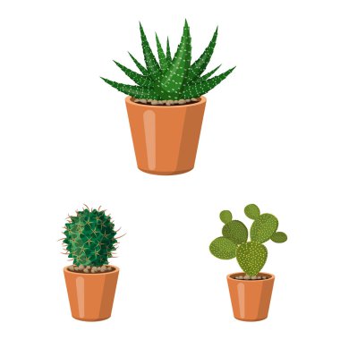 Kaktüs ve pot logo vektör tasarımı. Kaktüs ve kaktüsler hisse senedi vektör çizim koleksiyonu.