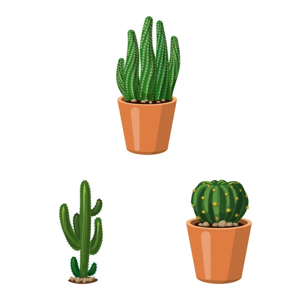 Vektor ilustrasi kaktus dan ikon pot. Set dari cactus dan cacti gambar vektor stok . - Stok Vektor