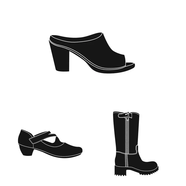 Illustration vectorielle de chaussures et logo femme. Collection de chaussures et icône vectorielle pied pour stock . — Image vectorielle