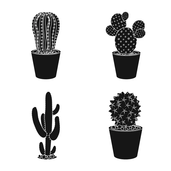 Vektor design av kaktus och potten symbol. Uppsättning cactus och kaktusar aktiesymbol för webben. — Stock vektor