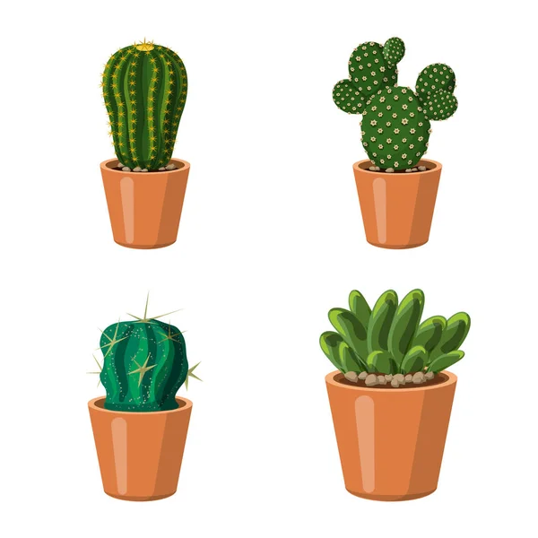 Progettazione vettoriale del cactus e dell'icona del vaso. Set di icone vettoriali cactus e cactus per stock . — Vettoriale Stock
