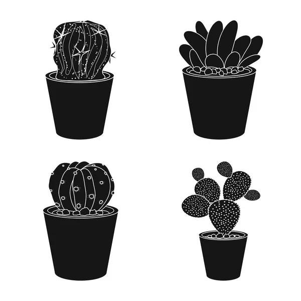 Conception vectorielle du cactus et du symbole du pot. Ensemble d'icônes vectorielles cactus et cactus pour stock . — Image vectorielle