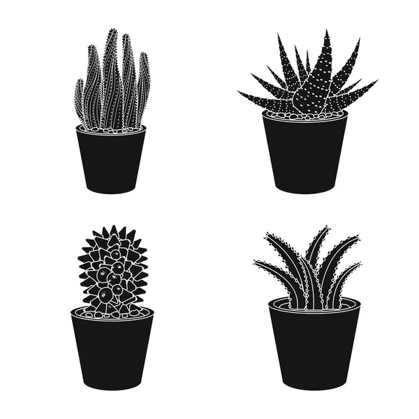 Illustration vectorielle du cactus et du symbole du pot. Collection de cactus et de cactus symbole stock pour le web . — Image vectorielle