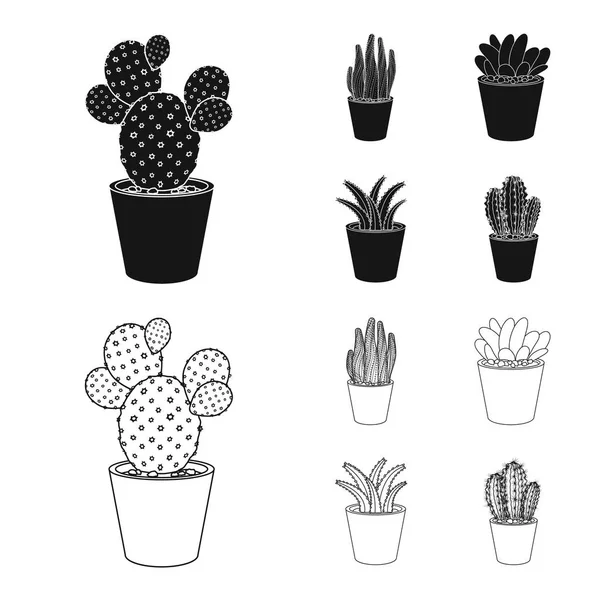 Objet isolé de cactus et logo de pot. Ensemble de cactus et de cactus symbole stock pour le web . — Image vectorielle