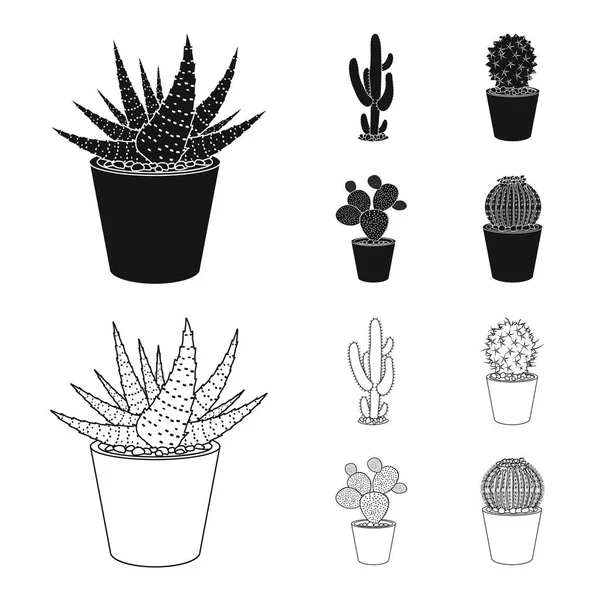 Objeto aislado de cactus y signo de maceta. Colección de cactus y cactus stock vector ilustración . — Archivo Imágenes Vectoriales