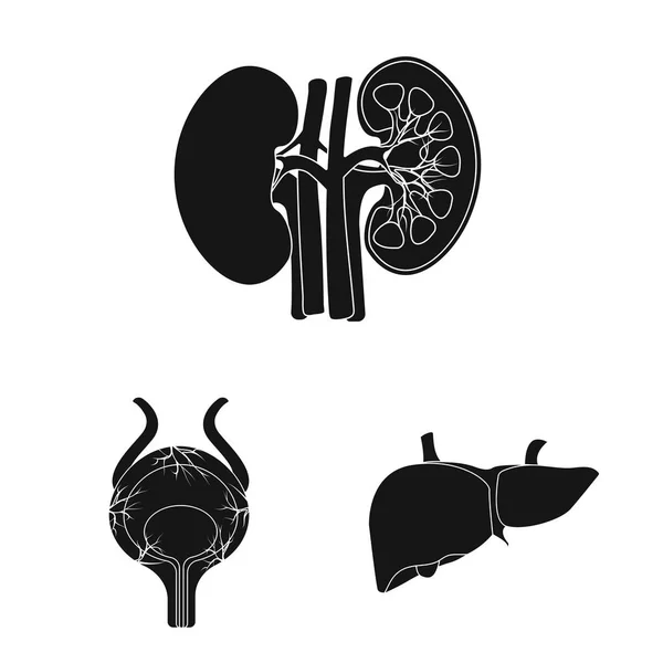 Objeto aislado de cuerpo y signo humano. Conjunto de cuerpo y vector médico icono para stock . — Vector de stock