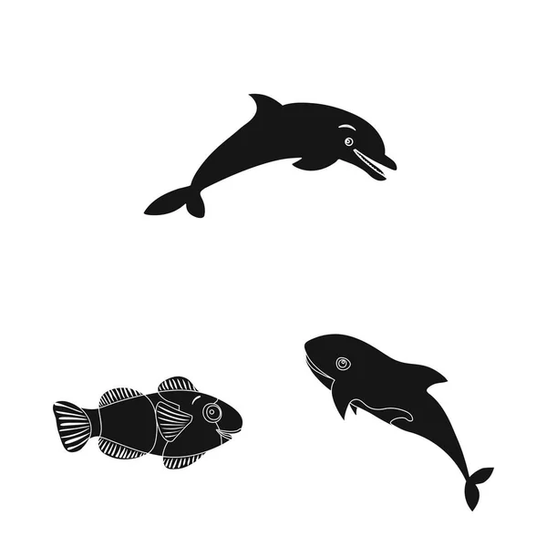 Illustrazione vettoriale dell'icona marina e animale. Raccolta di icone vettoriali marittime e marine per stock . — Vettoriale Stock