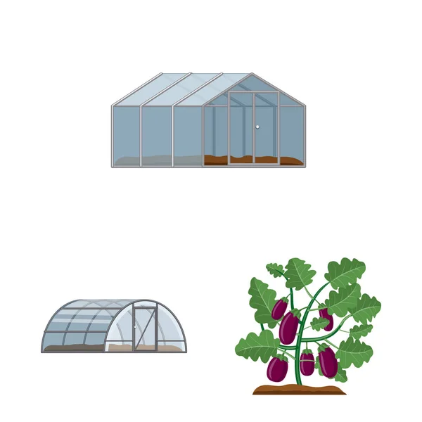 Isolated object of greenhouse and plant logo. Set of greenhouse and garden stock vector illustration. — Stock Vector