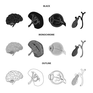 Vücut ve insan simge vektör tasarımı. Vücut ve tıbbi hisse senedi vektör çizim.