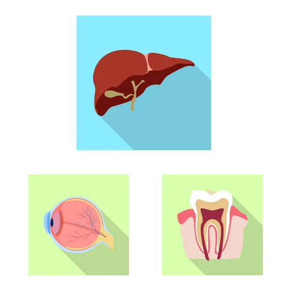 Ilustración vectorial del cuerpo y del símbolo humano. Colección de ilustración de vectores de cuerpo y stock médico . — Archivo Imágenes Vectoriales