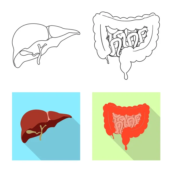 Design vetorial de corpo e ícone humano. Conjunto de corpo e ícone de vetor médico para estoque . — Vetor de Stock