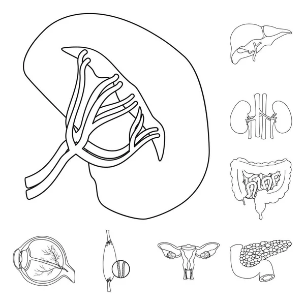 Векторний дизайн тіла та людської ікони. Набір тіла і медичний символ для Інтернету . — стоковий вектор