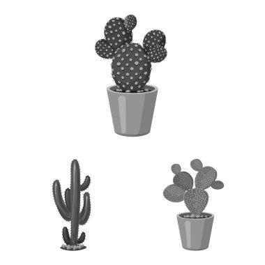 Kaktüs ve pot simge vektör tasarımı. Kaktüs ve kaktüsler koleksiyonu vektör hisse senedi simgesi.