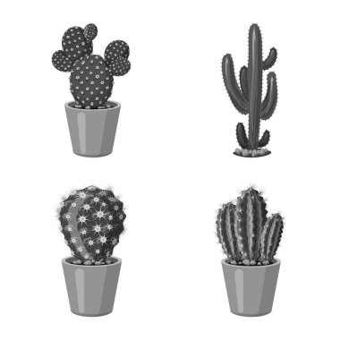 Kaktüs ve pot sembolü yalıtılmış nesne. Kaktüs ve web için kaktüsler hisse senedi simgesi.