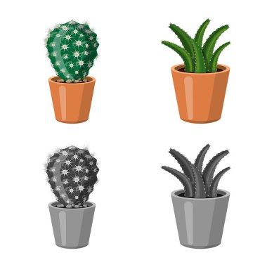 Kaktüs ve pot simge vektör tasarımı. Kaktüs ve kaktüsler koleksiyonu vektör hisse senedi simgesi.