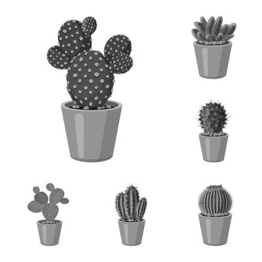 Kaktüs ve pot simge vektör Illustration. Kaktüs ve kaktüsler koleksiyonu stok web simgesi.