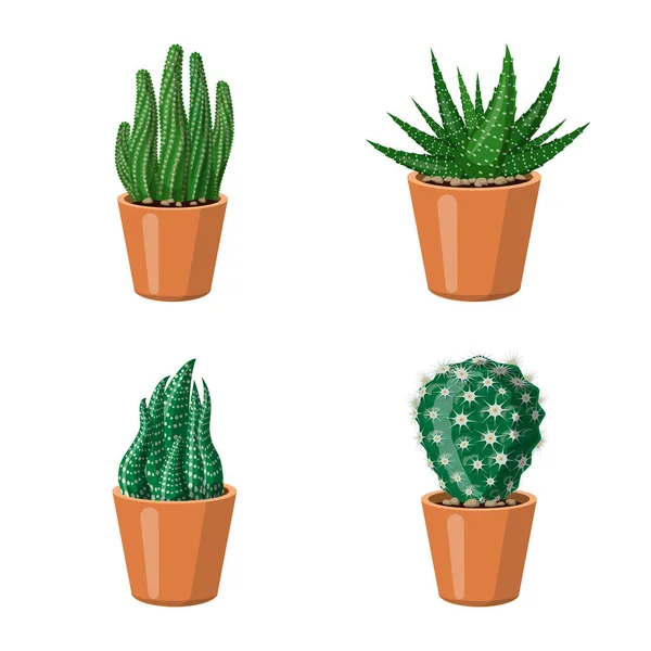 Progettazione vettoriale del cactus e dell'icona del vaso. Raccolta di cactus e cactus stock illustrazione vettoriale . — Vettoriale Stock