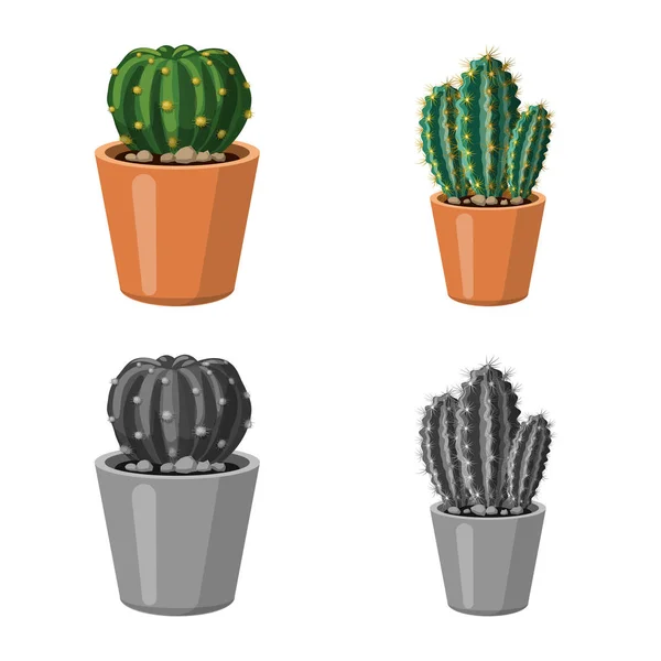 Ilustración vectorial de cactus y logotipo del pote. Colección de cactus y cactus símbolo de stock para web . — Archivo Imágenes Vectoriales