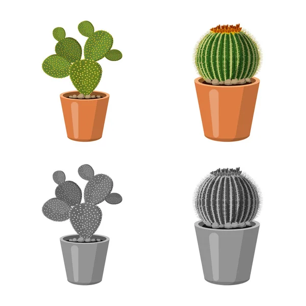 Illustration vectorielle du cactus et icône du pot. Collection de cactus et de cactus illustration vectorielle de stock . — Image vectorielle
