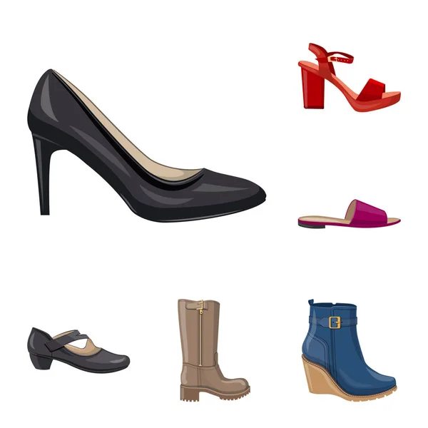 Vektorillustration av skodon och kvinna ikonen. Uppsättning av skor och fot aktiesymbol för webben. — Stock vektor