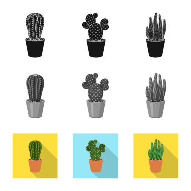 Kaktüs ve pot simge vektör tasarımı. Kaktüs ve kaktüsler koleksiyonu stok web simgesi.