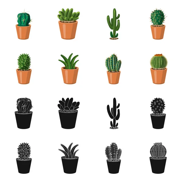 Illustrazione vettoriale del cactus e del logo del vaso. Raccolta di cactus e cactus stock illustrazione vettoriale . — Vettoriale Stock