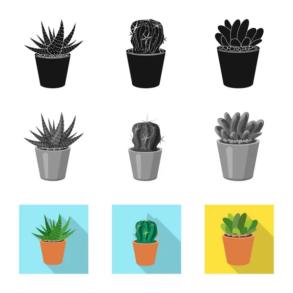 Vektor design av kaktus och potten symbol. Uppsättning cactus och kaktusar vektor ikonen för lager. — Stock vektor