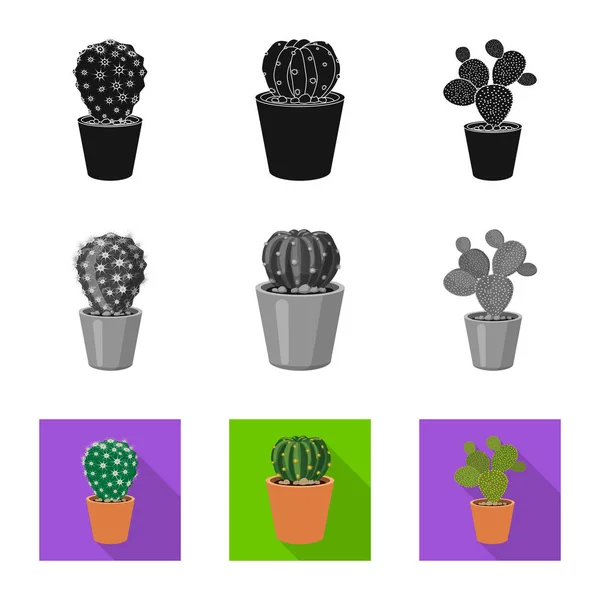 Vektor design av kaktus och potten ikonen. Samling av kaktus och kaktusar stock symbol för webben. — Stock vektor