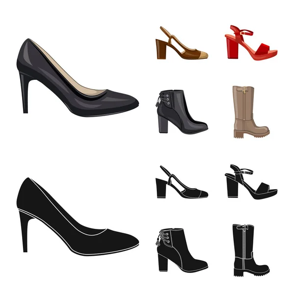 Vector ontwerp van schoeisel en vrouw teken. Set van schoeisel en voet vector pictogram voor voorraad. — Stockvector