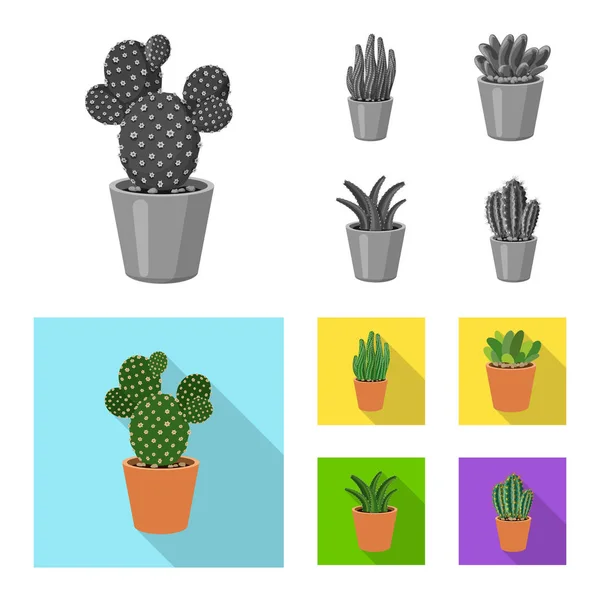Objet isolé de cactus et symbole de pot. Collection d'icônes vectorielles cactus et cactus en stock . — Image vectorielle