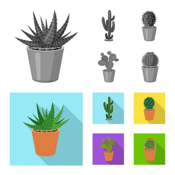 Vector design kaktusz és a pot ikon. Kaktuszok és cactus gyűjtemény állomány szimbólum, web. — Stock Vector