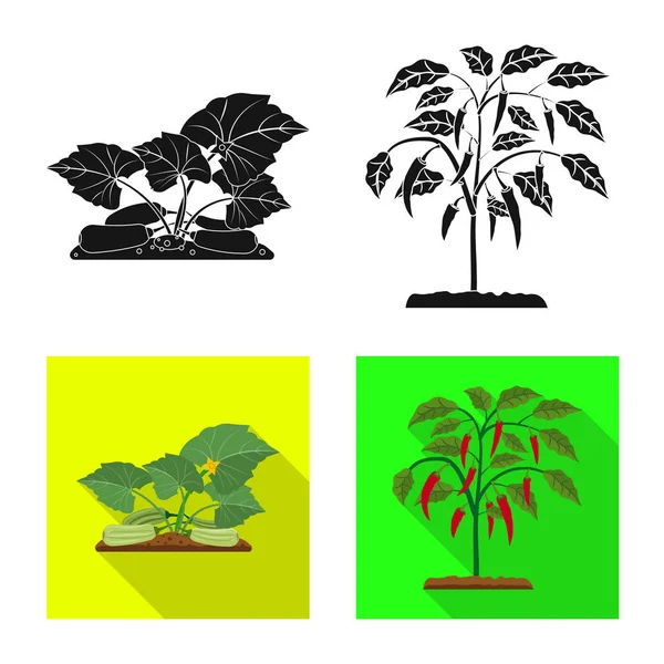 Illustration vectorielle de serre et icône végétale. Ensemble de serre et de jardin stock symbole pour le web . — Image vectorielle
